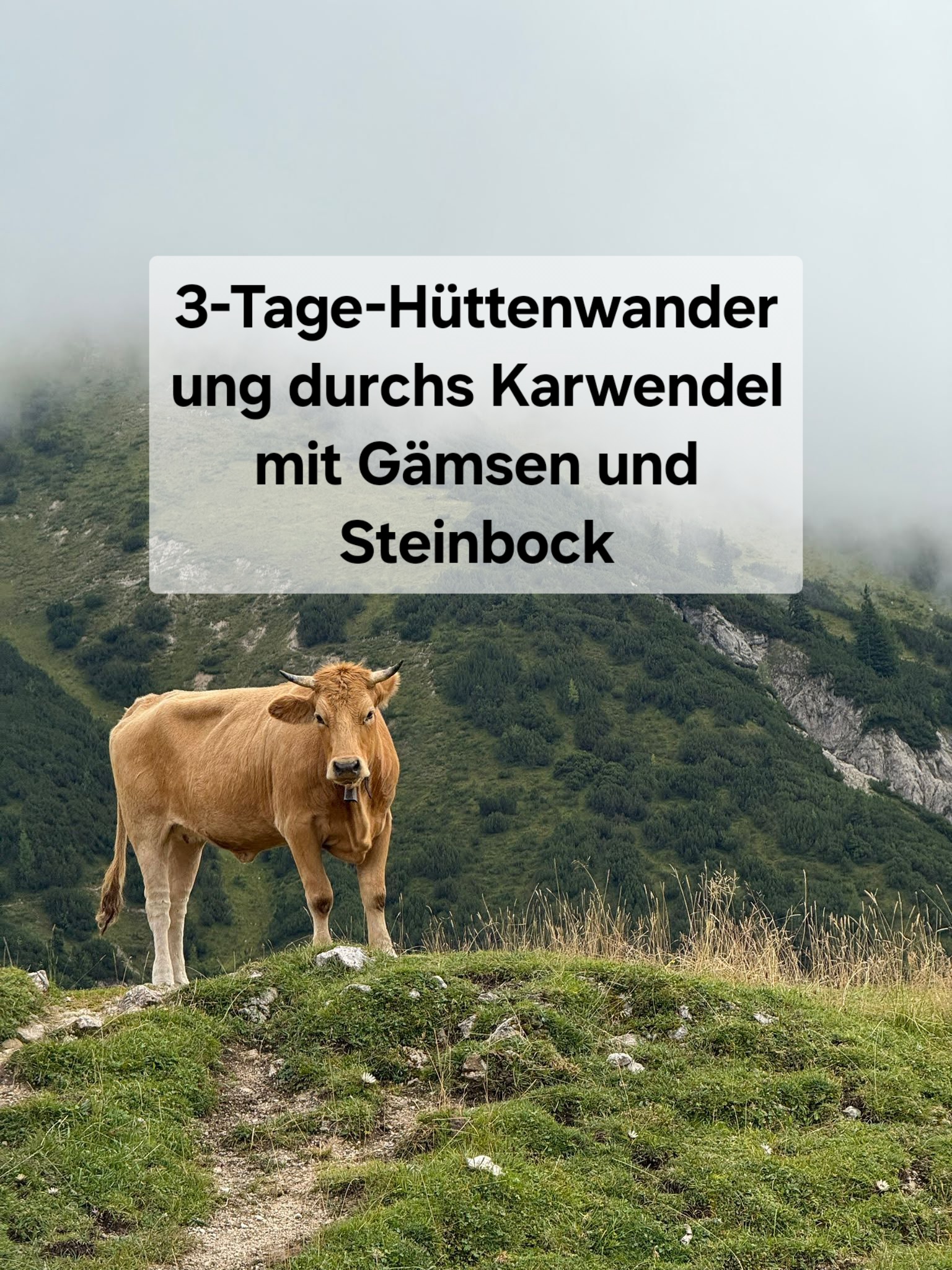 3-Tage-Hüttenwanderung durchs Karwendel mit Gämsen und Steinbock