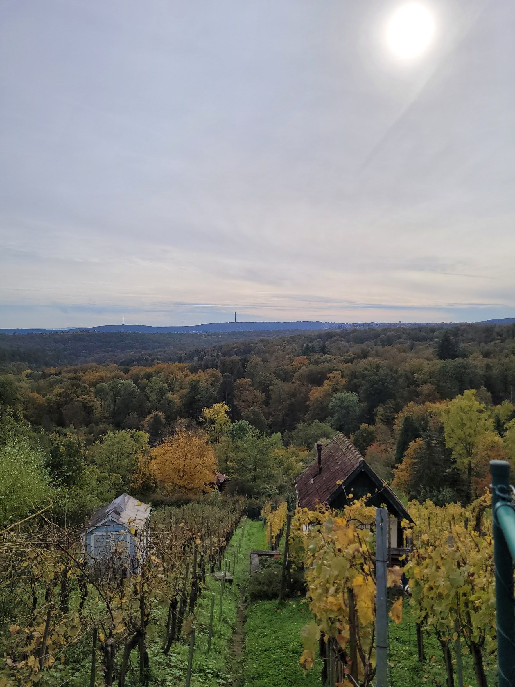 Bei diesem Ausblick glaubt man kaum, dass es sich um Stuttgart handelt, wäre da nicht der Fernsehturm.