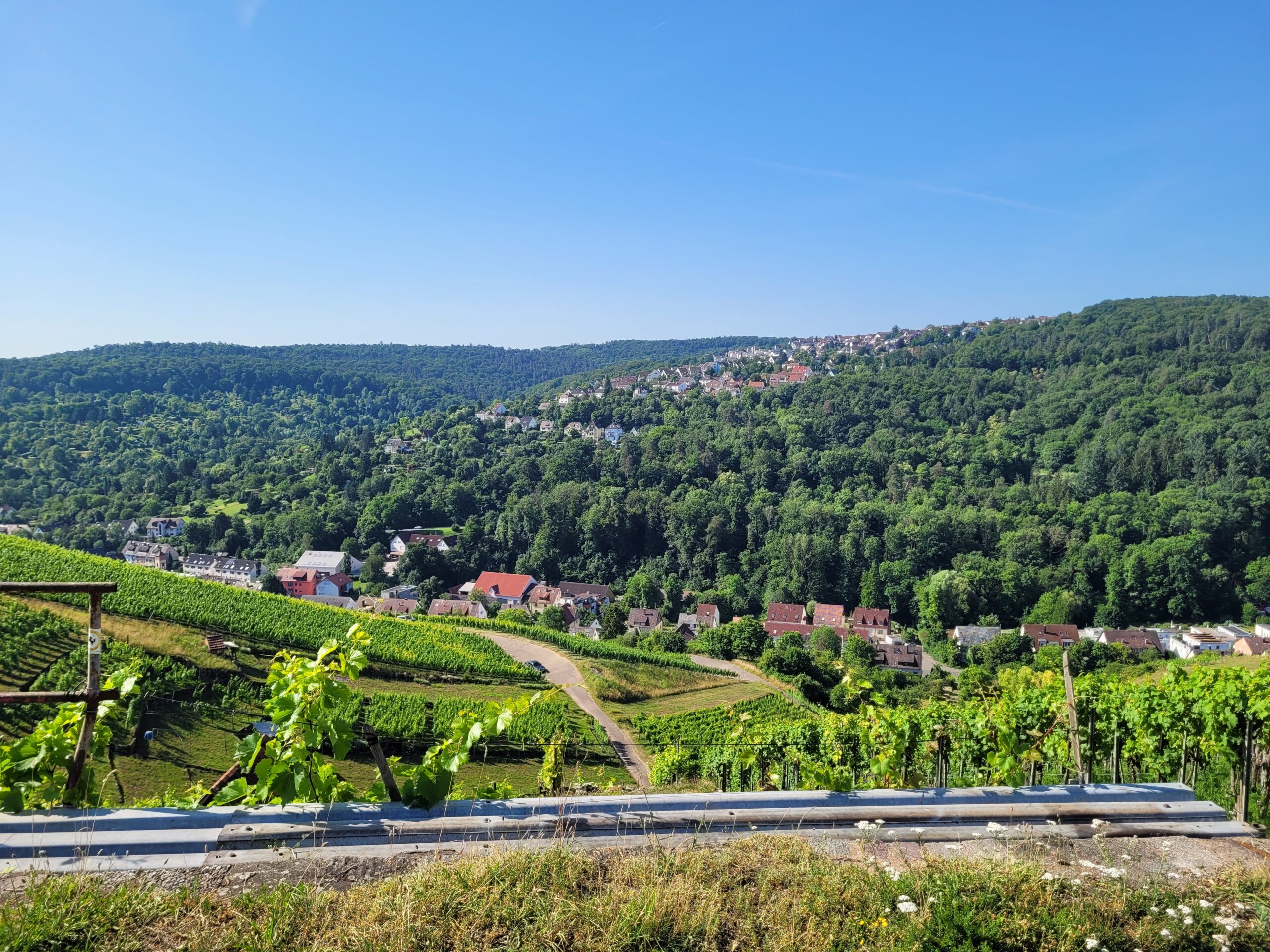 Die Aussicht von der Wangener Höhe ist traumhaft!