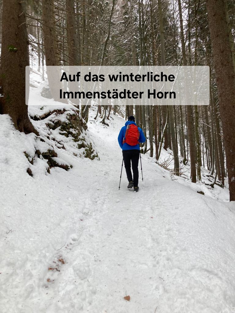 Auf das Immenstädter Horn im Winter