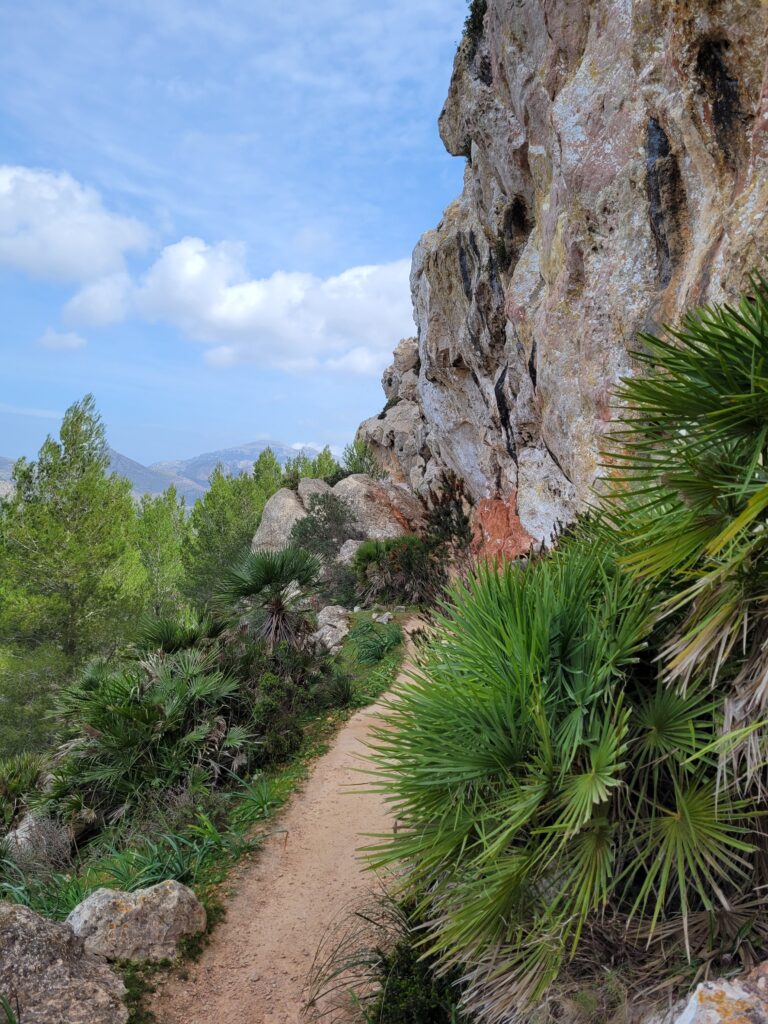 Wanderweg zwischen Port d'Andratx und San Elm.