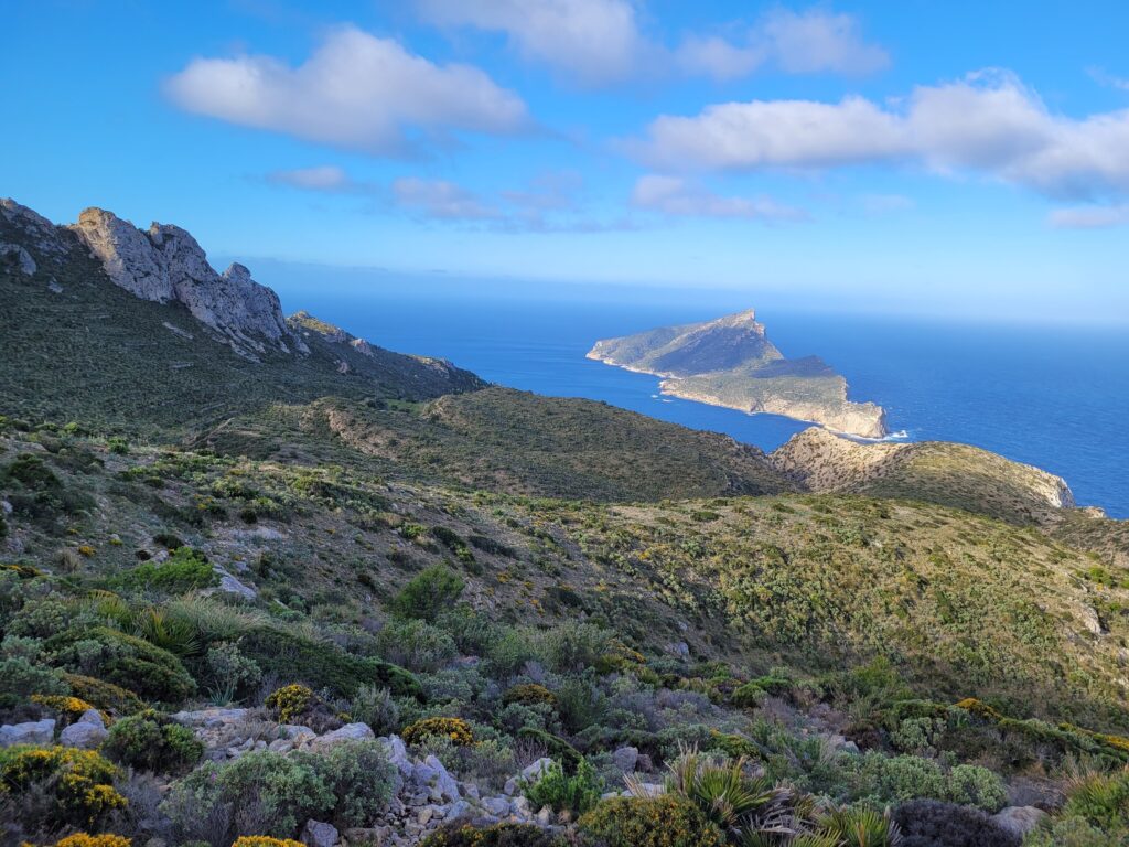Der Blick von der Trapa zurück zur Dracheninsel