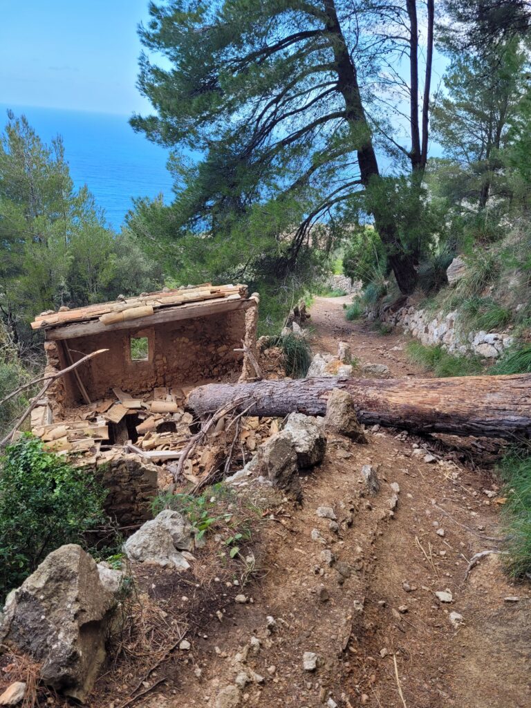 Die Hürden auf dem Camì del Correu