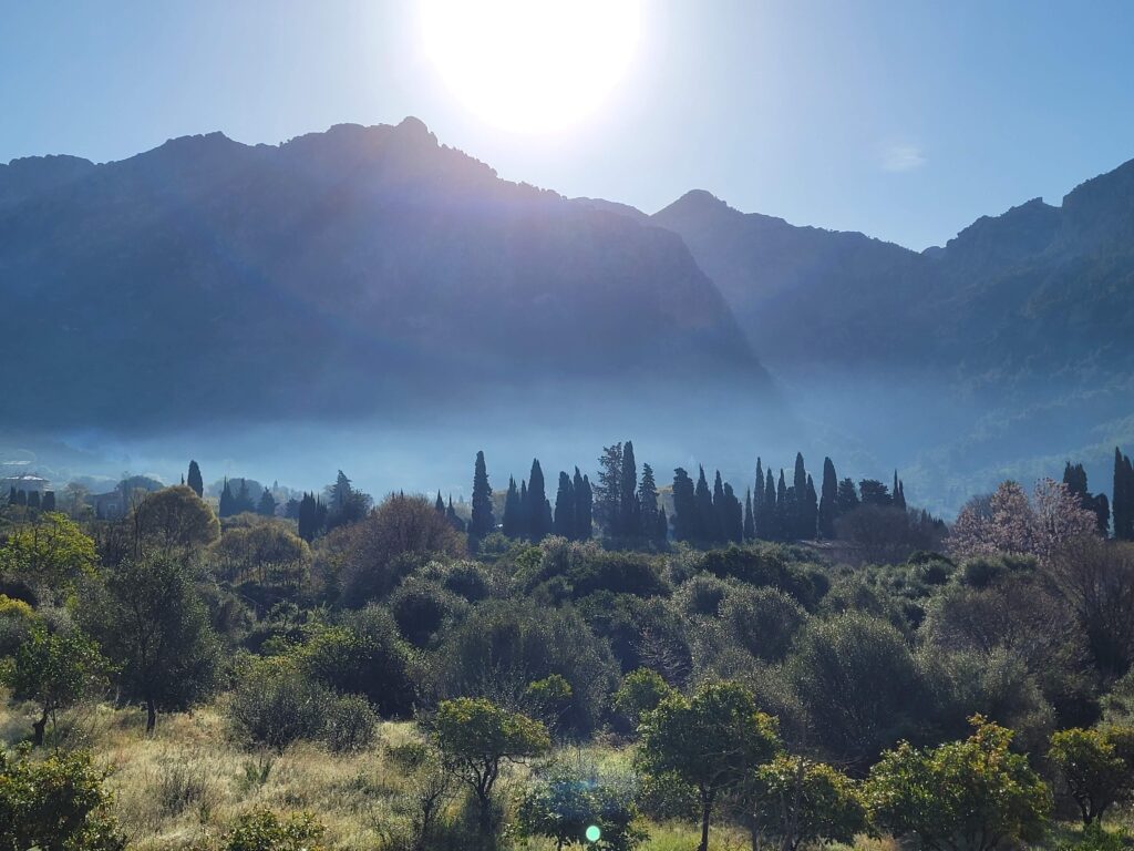 Der morgentliche Nebel liegt noch über Soller
