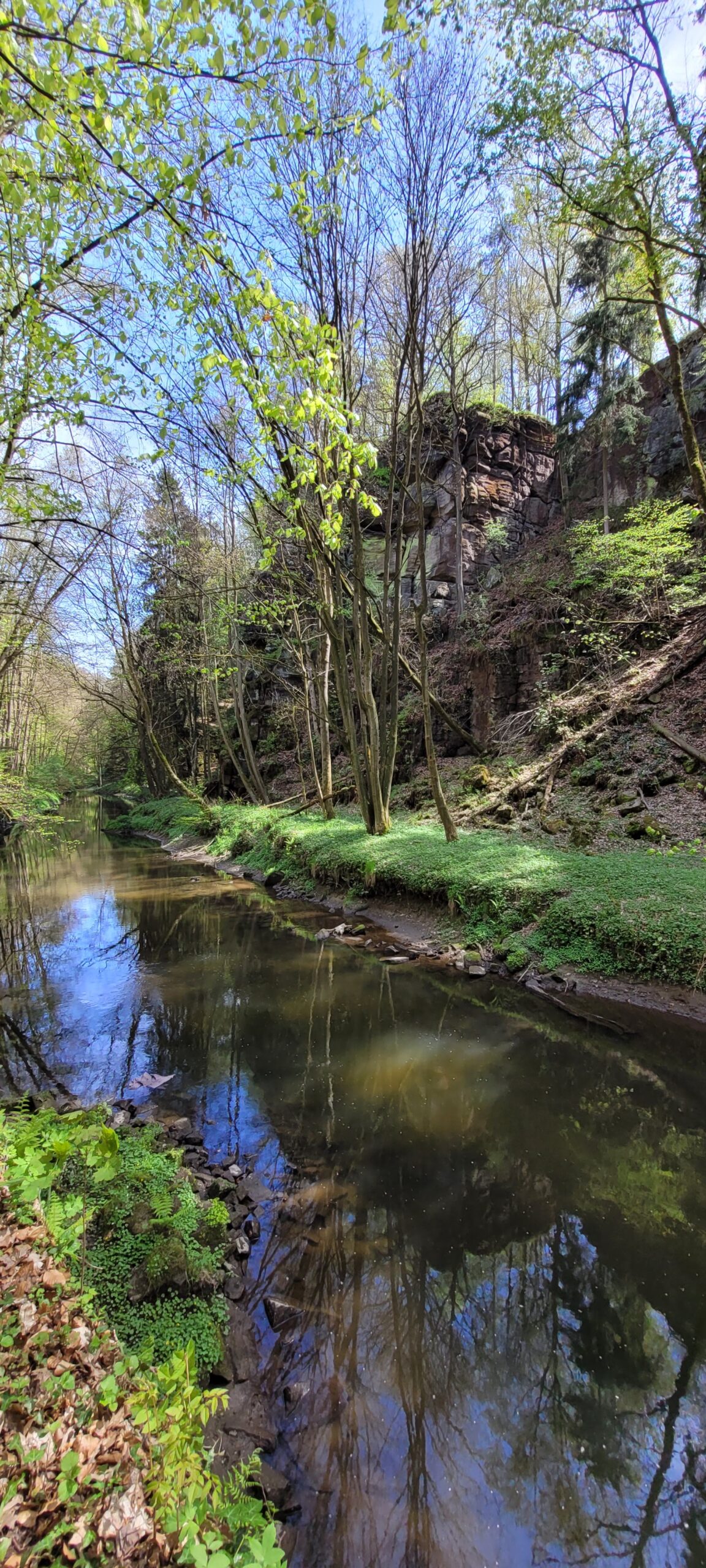 Liebethaler Grund