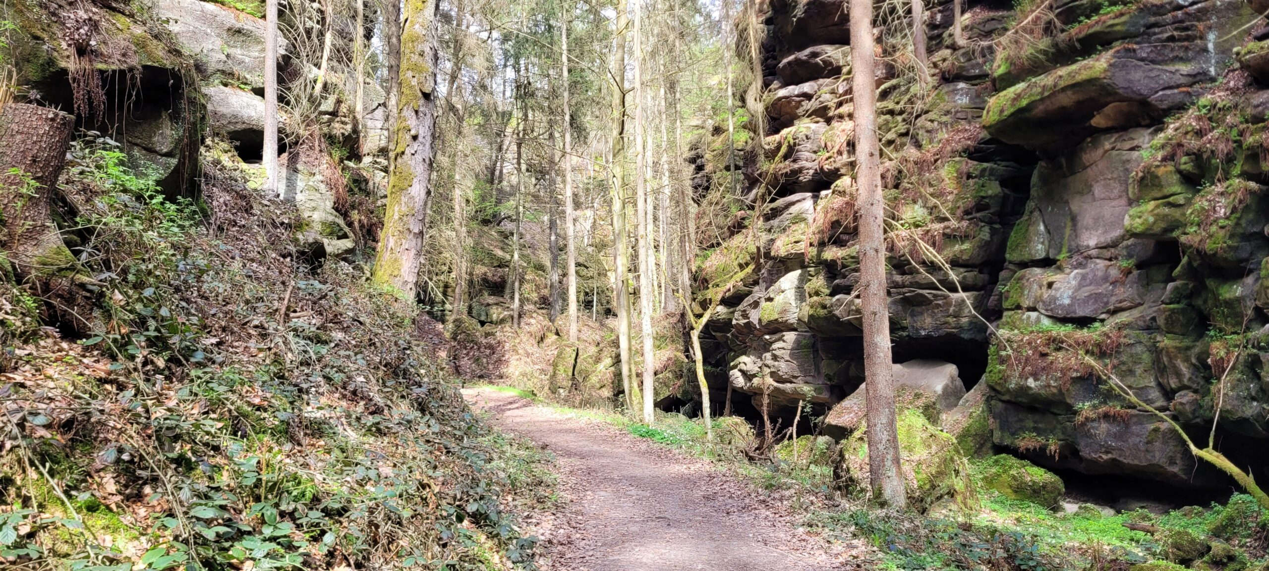 Der Weg des Uttewalder Grunds führt durch eine enge Schlucht
