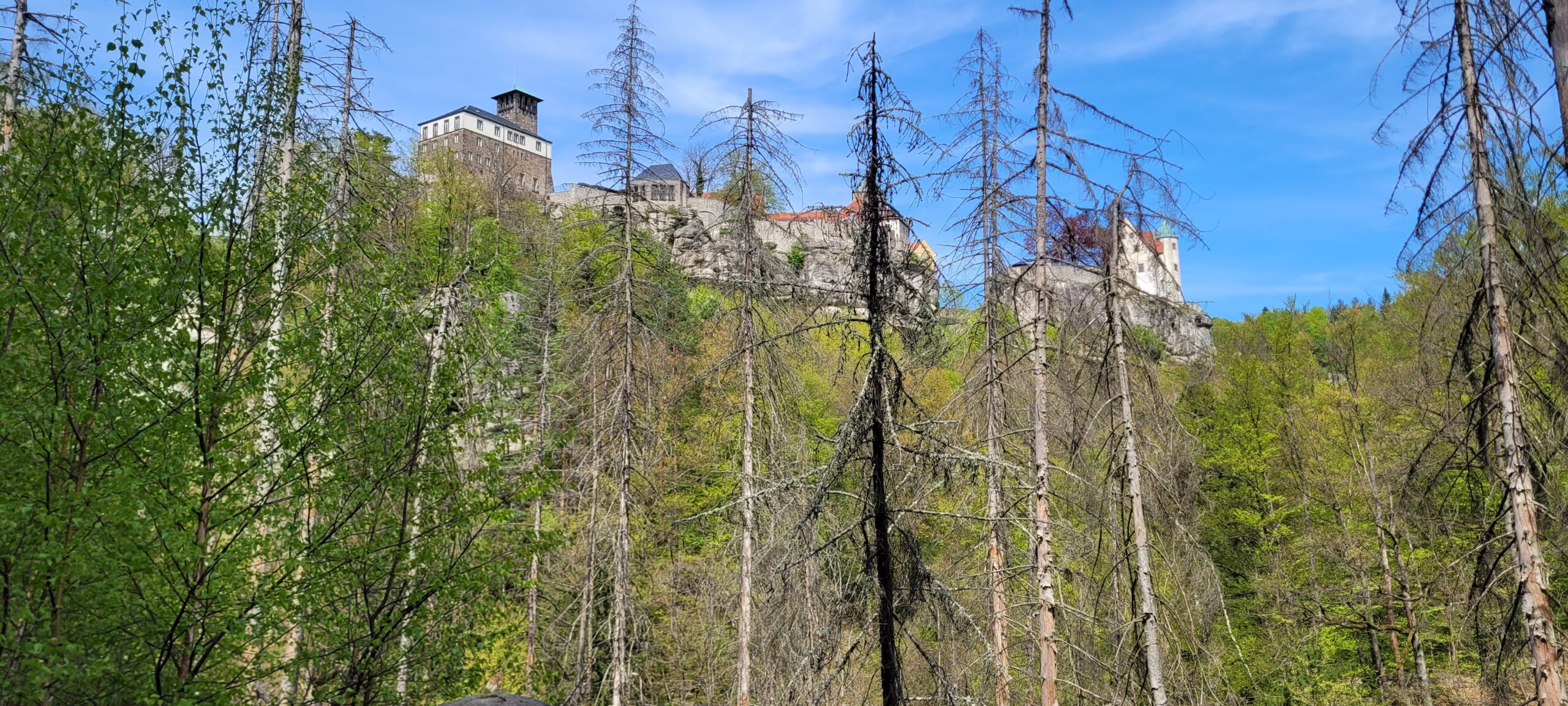 Burg Hohnstein in Sicht!