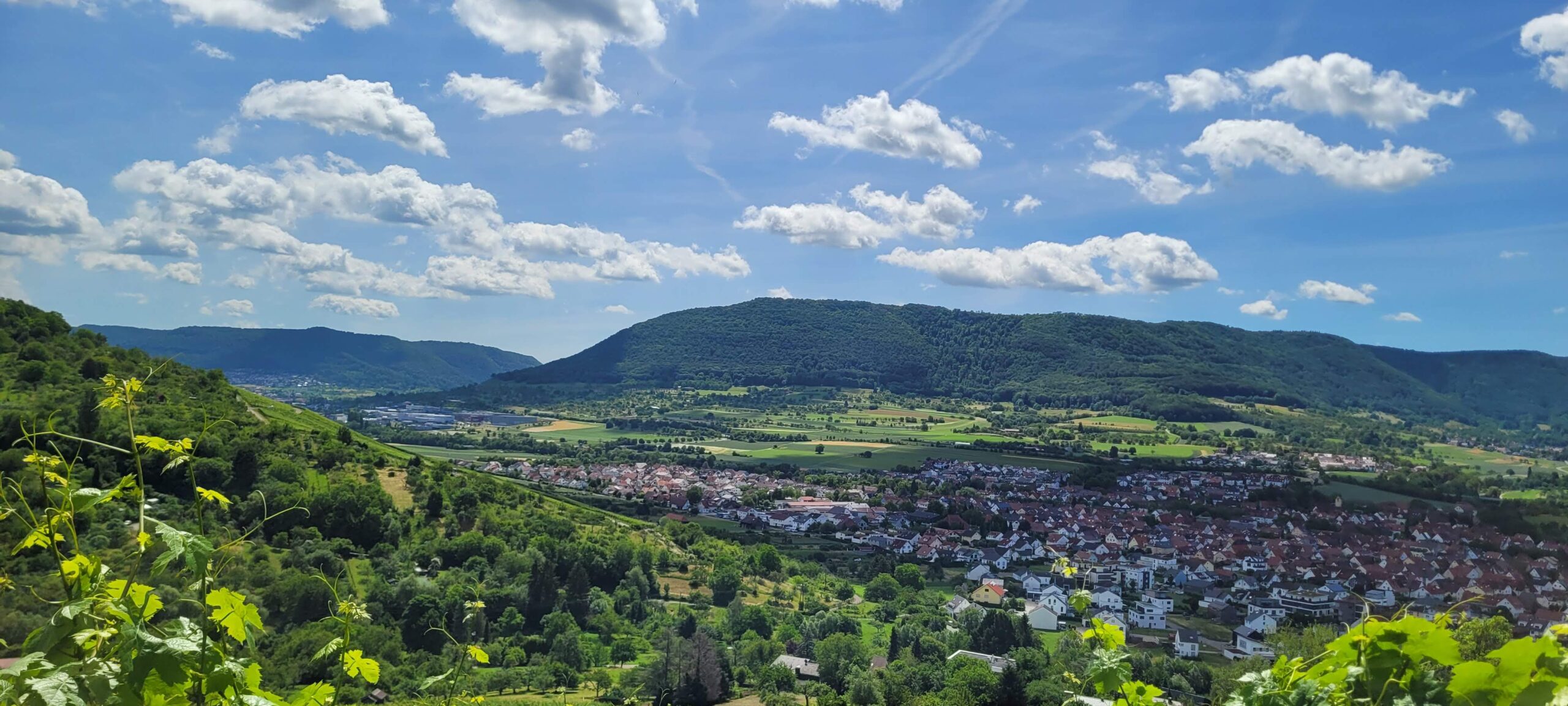 Der Ausblick vom Weinsberg über Metzingen und Umgebung