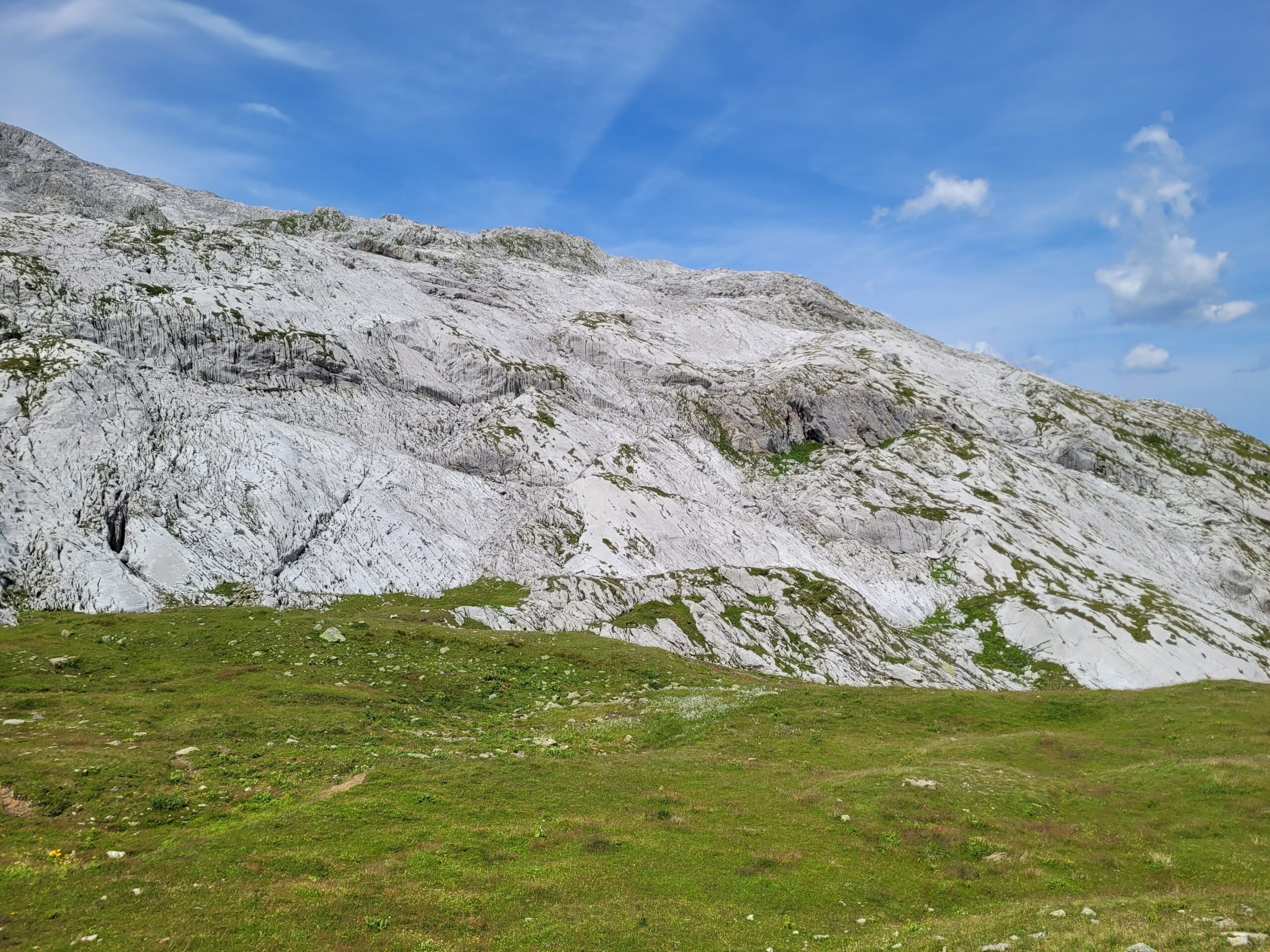 Starker Kontrast am Kalkstein im Rätikon